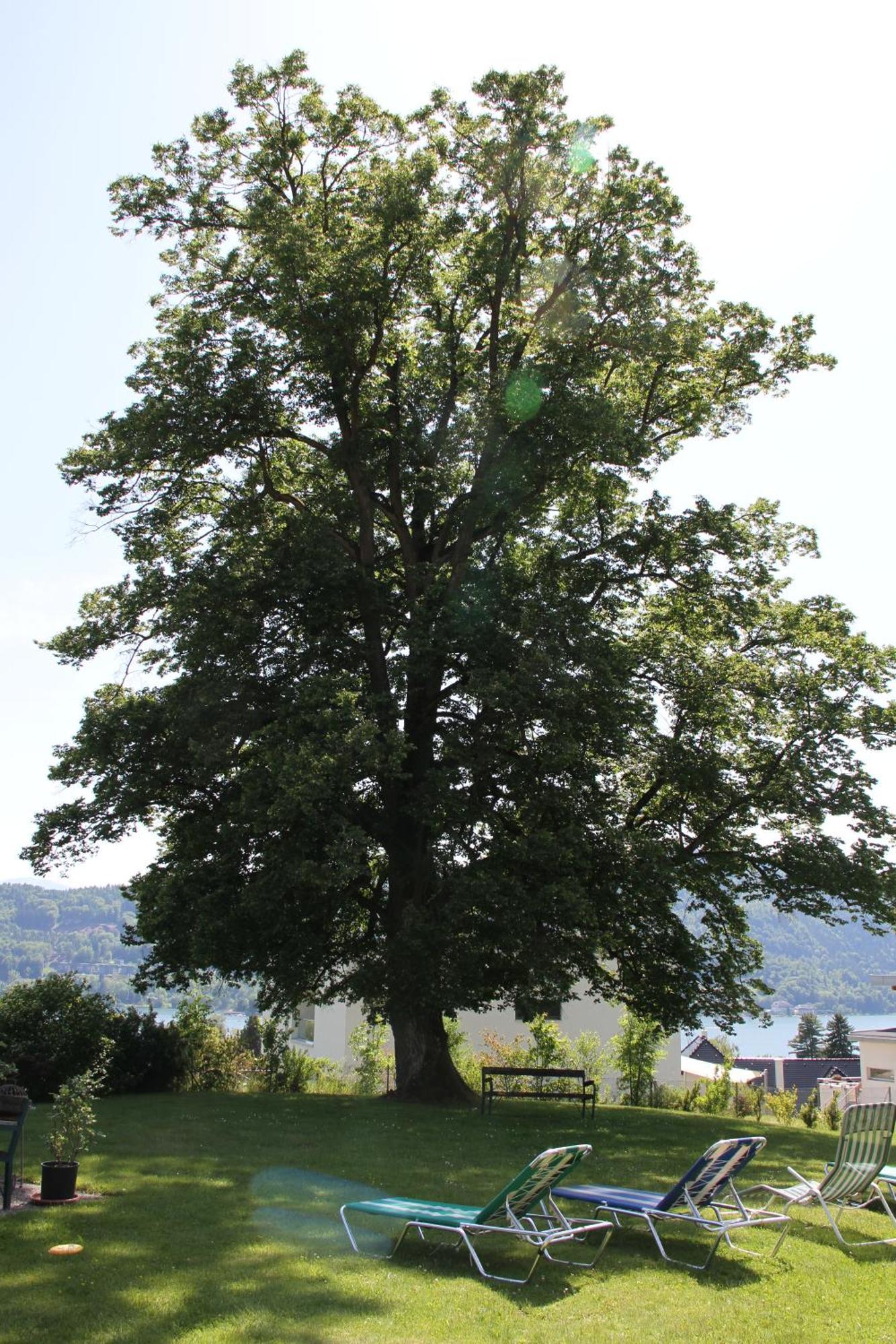 Landhaus Strussnighof Pörtschach am Wörthersee Exteriér fotografie